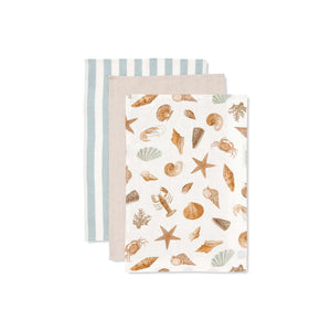 Shell Collection Tea Towel - Pack of 3
